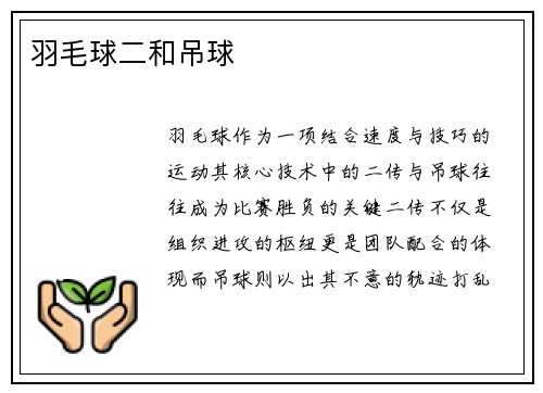 羽毛球二和吊球